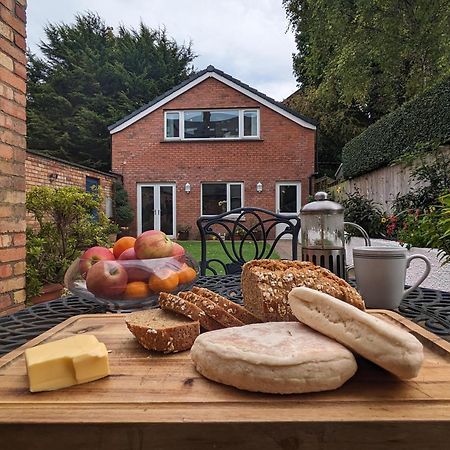 Bt 9 Granny Flat & Walled Garden بلفاست المظهر الخارجي الصورة