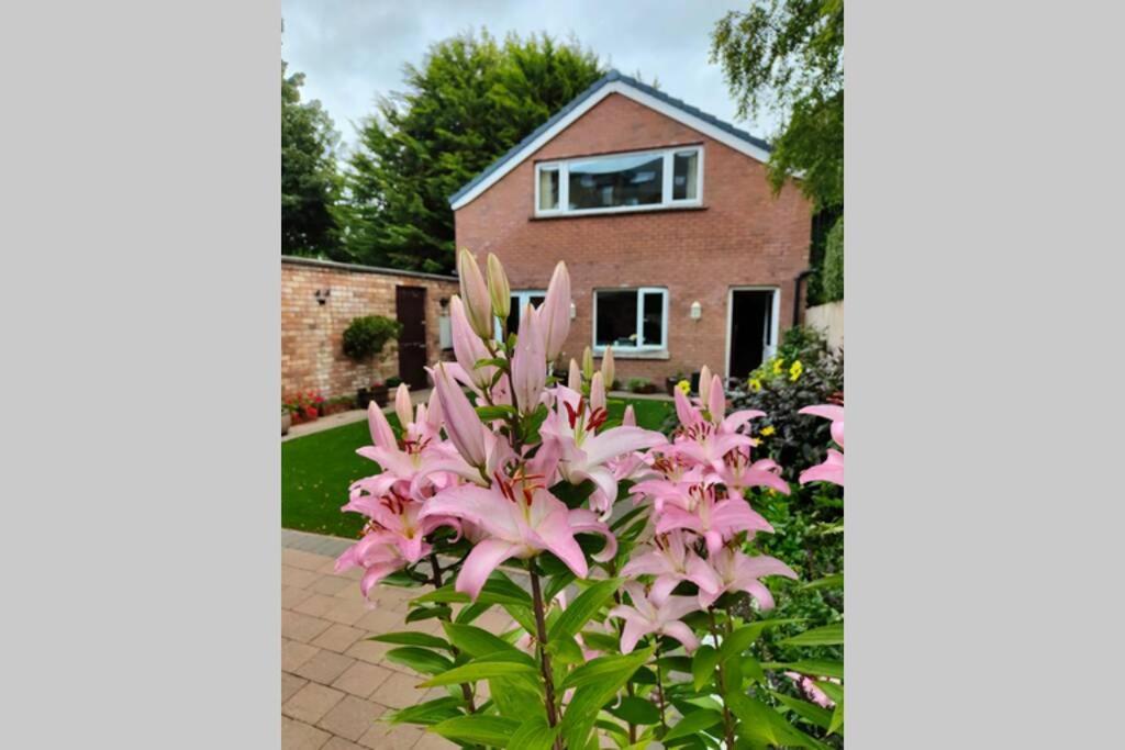 Bt 9 Granny Flat & Walled Garden بلفاست المظهر الخارجي الصورة