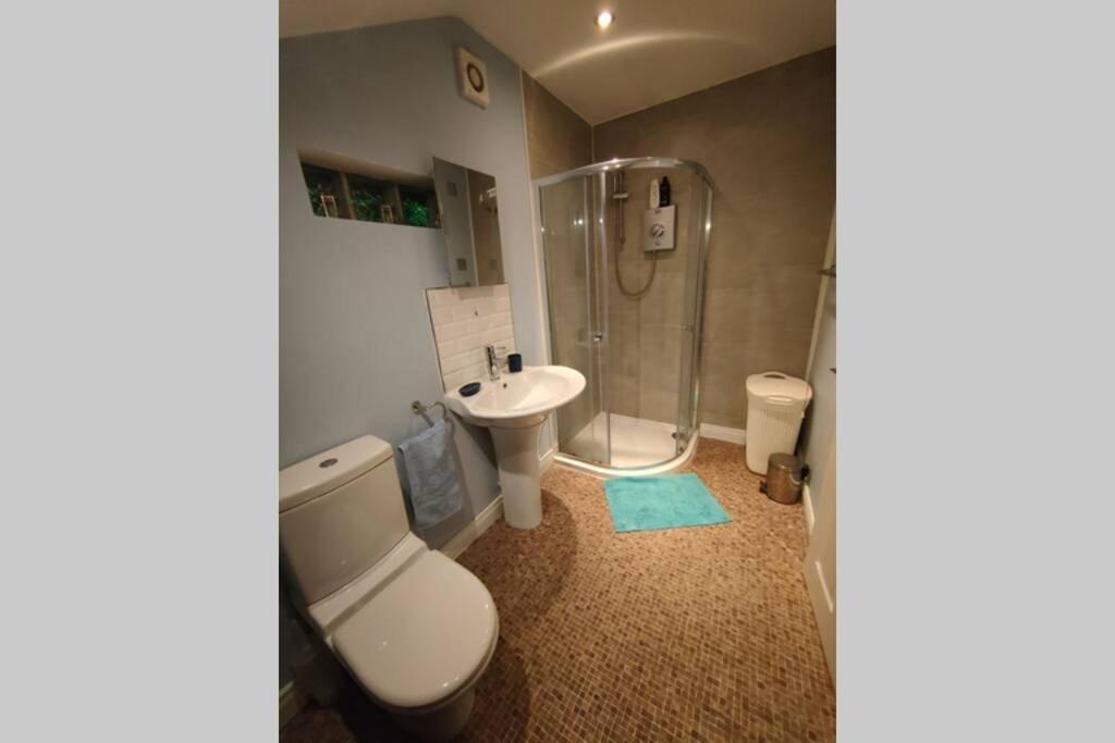 Bt 9 Granny Flat & Walled Garden بلفاست المظهر الخارجي الصورة